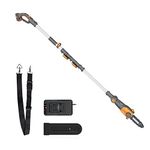 Worx Pole Saws