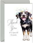 Thank You Cards for Cousin - Party Dog - Thankyou Cards for Cousin from Family Relative, Heartfelt Appreciation Card 5x7 Inch Thank You So Much Greeting Cards