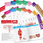 chiazllta 16 Pack Anatomy & Physiol