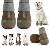 Dog Shoes 