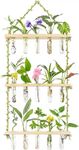 3 Tiered Wall Hanging Planter with 15 Pieces Mini Plant Test Tube Flower Vase Glass Plant Hangers Plant Propagation Station for Hydroponic Cutting Home Garden Office Decor Plant