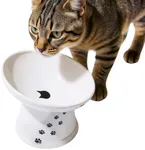 Necoichi Raised Cat Food Bowl – Cer