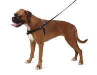 Ancol/Pure Dog Listeners - Stop Pulling Dog Training Harness & Lead Set - X-Large Size 8-9 (inc DVD)