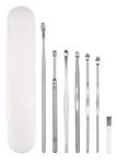 Hetkrishi 7 Pcs Ear Cleansing Tool Set, Innovative Spring Ear Wax Cleaner Tool Set,Ear Curette Ear Wax Remover Tool with a Cleaning Brush and Storage Box,silver