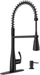 Moen Essie Matte Black One-Handle H