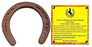 Authentic Certified Used Horseshoe 