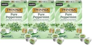 Twinings Pure Peppermint Tea Single