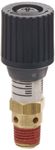 Control Devices CR Series Brass Pressure Relief Valve, 0-100 psi Adjustable Pressure Range, 1/4" Male NPT