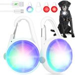 POEEY Dog Lights 2Pack LED Recharge