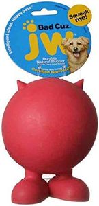 JW Pet Dog Squeaker Toy, Large