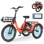 MOONCOOL Folding Electric Bike for Adults, 20" Folding Electric Trike with 36V 20AH Removable Battery, 250W Motor High Speed 3 Wheels Electric Bicycle, LCD Display, 45NM E-Bikes with Large Baskets