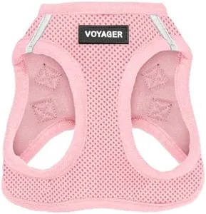 Best Pet Supplies, Inc. Voyager Step-in Air Dog Harness - All Weather Mesh, Step in Vest Harness for Small and Medium Dogs - Pink (Matching Trim), S (Chest: 14.5 - 17") (207T-PKW-S)