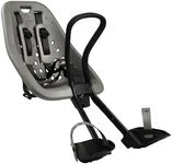 Thule Yepp Mini Bicycle Child Seat, Silver