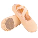 s.lemon Ballet Shoe,Cotton Canvas Split Sole Yoga Gymnastics Ballet Dance Slipper for Kids Women TLK Pink 36