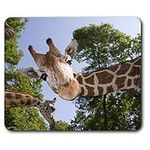 Destination Vinyl ltd Comfortable Mouse Mat - Fun Giraffe African Wild Animal 23.5 x 19.6 cm (9.3 x 7.7 inches) for Computer & Laptop, Office, Non-slip Base - RM21593