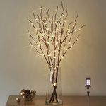 LITBLOOM Lighted Brown Willow Branches 30IN 150 LED Plug in with Timer and Dimmer Tree Branch Lights with Warm White Lights for Holiday Christmas Home Decoration