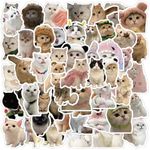 60Pcs Cute Cats Stickers, Funny Cat Meme Waterproof Vinyl Stickers Decals for Laptop Water Bottle Phone Luggage Skateboard Bicycle, Sticker Kids Teens Boys Girls and Adults