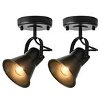 KEESFU Industrial Mini Track Lighting Ceiling Light, Black Spot Lights Indoor with Multi-Directional Adjustable Light Head, Ceiling Mount Spotlight for Bedroom Living Room Hallway Kitchen(2 Pack)