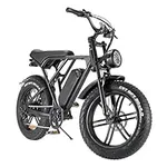 BreezeRider Electric Bike 20" x 4.0