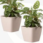 Eha Set of 2 Earth-Friendly Daisy 9" Self-Watering pots and Planters | Bamboo Based | UV Protected | for Indoor, Home Decor, Outdoor, Balcony & Garden | Sand Castle