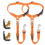 SlowTon Dog Seat Belt, 2 Pack Pet Car Seatbelt Headrest Restraint Adjustable Puppy Safety Seat Belt Reflective with Elastic Bungee Connect with Dog Harness in Vehicle for Travel Daily Use (Orange)