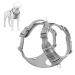 Plutus Pet No Pull Dog Harness, Release at Neck, Reflective Adjustable Dog Vest Harness, Easy Control Handle for Walking, for Small Medium Large Dogs, Gray, M