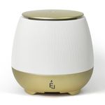 Essential Oil Diffuser Young Livings