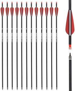 26 inch Carbon Arrow Hunting Arrows with 100 Grain Removable Tips for Archery Compound & Recurve & Traditional Bow Practice Shooting (Pack of 12)