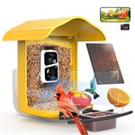 birdsnap® PAV - Smart Bird Feeder with Camera, 5 DIY Add-ons & 64G SD Card Auto Record Bird Video Bird House for Outside, AI Identify Bird Species with Solar Panel, Ideal Gift for Bird Lover, Yellow