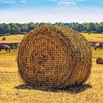 Bloomoak Large Round Bale Hay Net for Horses, 5 * 5 Feet Slow Feed Hay Net Feeder for Livestocks, with 1.5" Hole/2.5" Hole (1.5" Hole for Slow Feed)