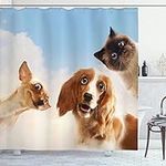 Funny Shower Curtain by, Cat and Do