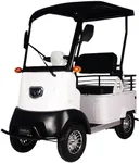 HAOWEIH Electric Golf Carts with St