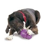 PetSafe Busy Buddy Squirrel Dude Dog Toy - Treat Dispensing Toy – Extra Small, Small, Medium and Large Sizes,Purple