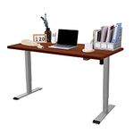 FLEXISPOT Electric Standing Desk Height Adjustable Standing Desk Sit Stand Desk Adjustable Desk Stand Up Desk for Home Office EG1 (120 * 80cm, Silver Frame+ Mahogany Desktop)