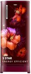 Whirlpool 184 L 5 Star Direct-Cool Single Door Refrigerator with Intellisense Inverter Compressor (205 WDE ROY 5S Inv WINE SPRING-Z)