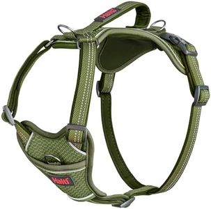 Halti Anatomy Dog Harness with Handle - Padded, Adjustable & Reflective No Pull Dog Harness, 3 Lead Attachment Points including Front Clip, Suitable for Medium Dogs (Size M, Green)