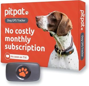 PitPat Dog