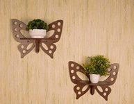 Raytrees Engineered Wooden Set of Two Butterfly Wall Shelf/Stand (33 cm X 12 cm X 25 cm, Brown
