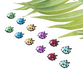 TabEnter 12 Pcs Cute Mini Ladybug Shape Decorative Refrigerator Magnets, Perfect Fridge Magnets for House Office Personal Use