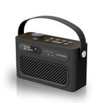 Roxel RDR-40 Stereo DAB/DAB+ Digital and FM Radio Portable Wireless Speaker with Dual Alarm Clock Function, USB & Micro SD MP3 Playback Function, 3.5mm Headphone Output (Black)