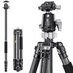 K&F Concept X-Series 68 inch/172cm Carbon Fiber Camera Tripod,Professional Photography Tripod with 36mm Metal Ball Head Load Capacity 16KG/35.2lbs for Indoor Outdoor Use X284C4+BH-36