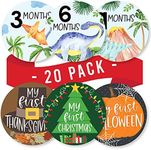 20 Monthly Baby Milestone Stickers Boy - Dinosaur Baby Monthly Milestone Stickers For Baby Boy, Milestone Baby Monthly Stickers, Baby Month Stickers For Baby Photo Props Boy, Monthly Baby Stickers Boy