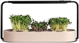 ingarden – Superfood Growing Kit | Indoor Garden with 3 Microgreen Seed Pads | Automated LED Grow Lights | Hydroponic Watering System | Stainless Steel Frame | Ceramic Bowl | Beige