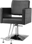 Salon Styling Chair for Hair Stylis