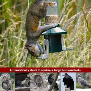 Roamwild PestOff Squirrel Proof Bird Feeder – 2L Mixed Seed/Sunflower