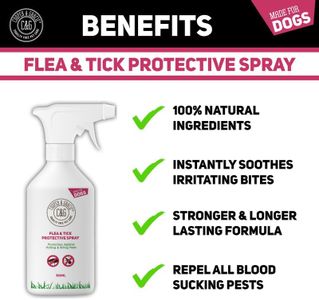 Cooper and Gracie Dog Flea Spray 500ml – Natural Pest Control