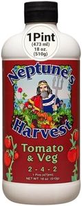 Neptune’s