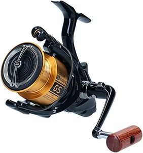 DAIWA 20 GS BR LT 5000-C