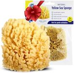 Baby Buddy Natural Yellow Sea Sponge, Newborn Bath Time Essential, Soft and Gentle for Tender Skin, Hypoallergenic and Biodegradable, 1 Pack