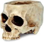 READAEER Skull Bowl Resin Skull Sha